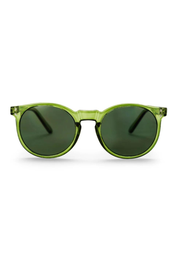 Sunglasses ANCHOR POINT (LP)