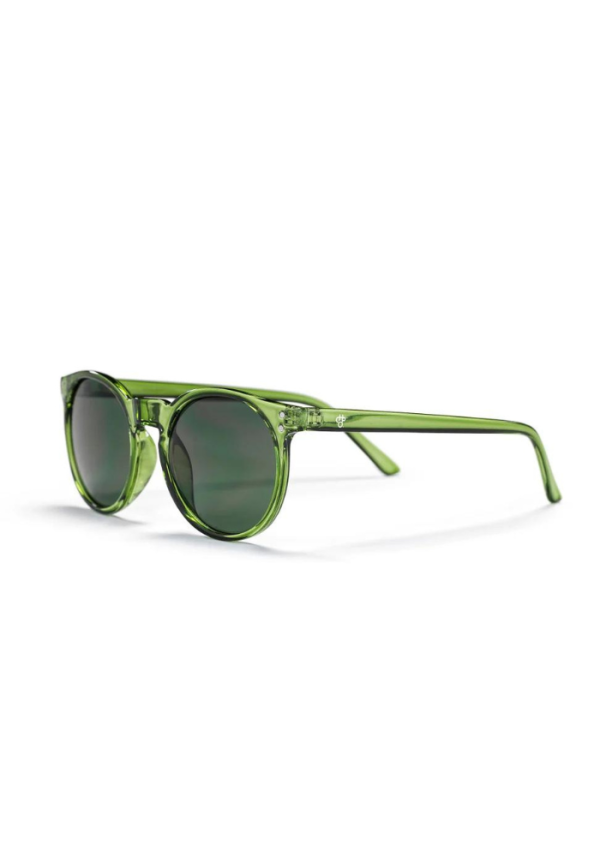 Sunglasses ANCHOR POINT (LP)