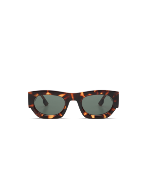 Sunglasses Alpha Havana