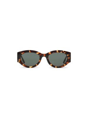 Sunglasses Dax Havana