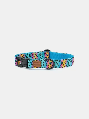 Fusion Leopard Dog Collar