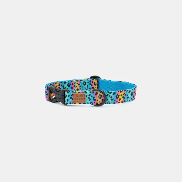 Fusion Leopard Dog Collar