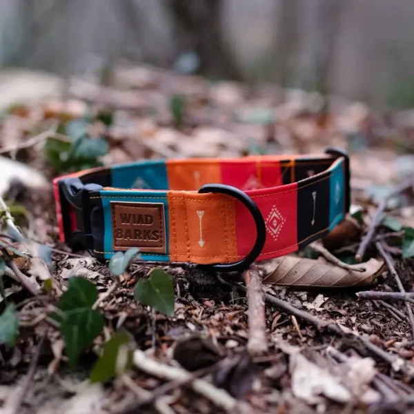 Native Dog Collar