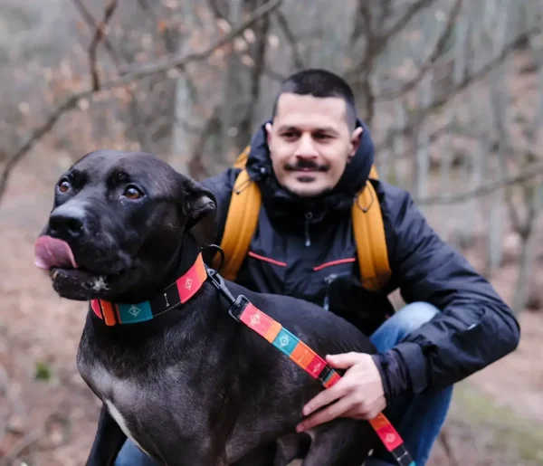 Native Dog Collar