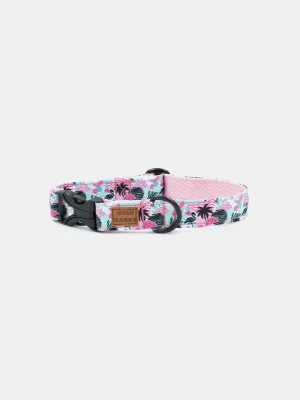 Pool Party Dog Collar