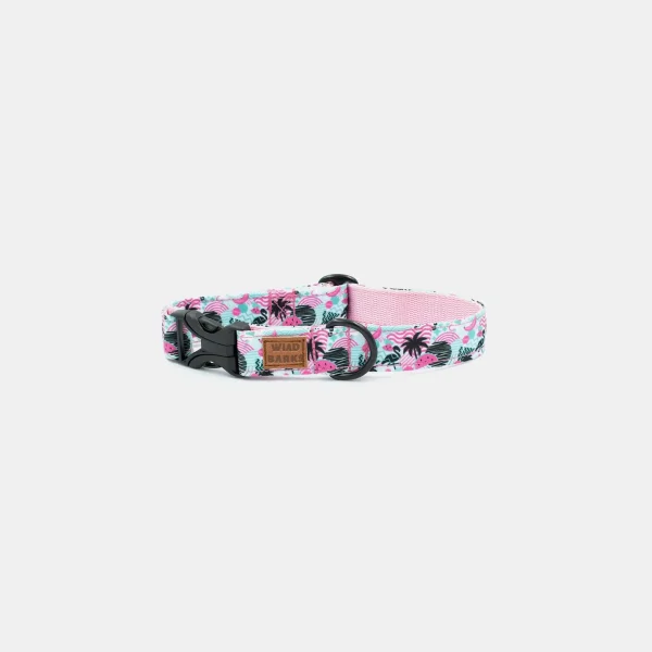 Pool Party Dog Collar