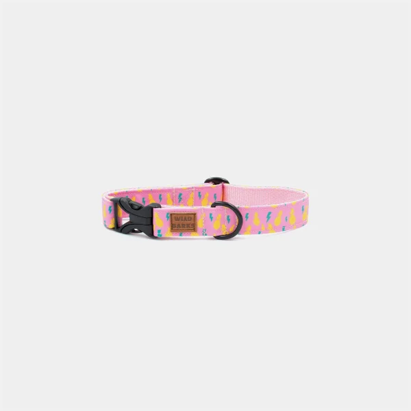 Rock Pineapples Dog Collar