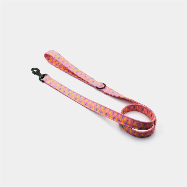 Rock Pineapples Dog Leash