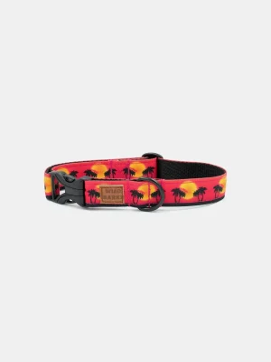 Sunset in California Dog Collar