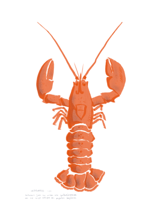 Lobster Poster