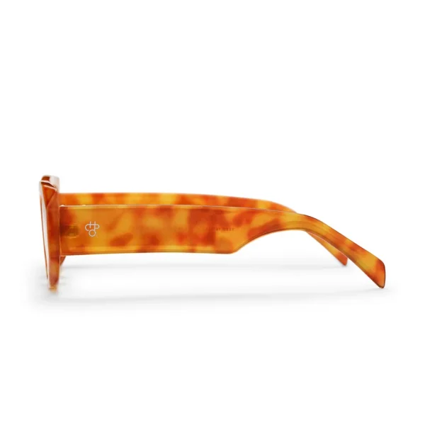 Sunglasses Reed (AC)