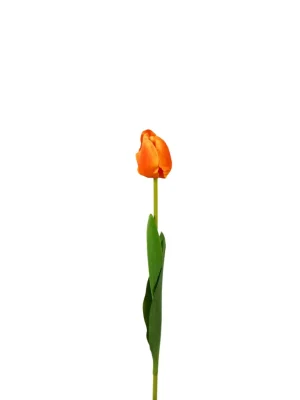 Tulip Artificial Soft Touch 50cm - Orange