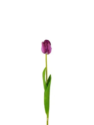 Tulip Artificial Soft Touch 50cm - Purple