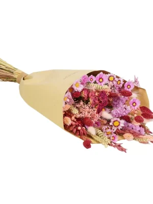 Dried Flowers Medium Sweet Embrace