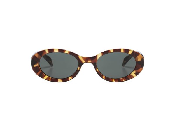 Sunglasses Ana Tortoise