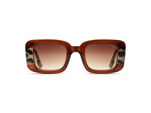 Sunglasses Avery Bronze Bobcat