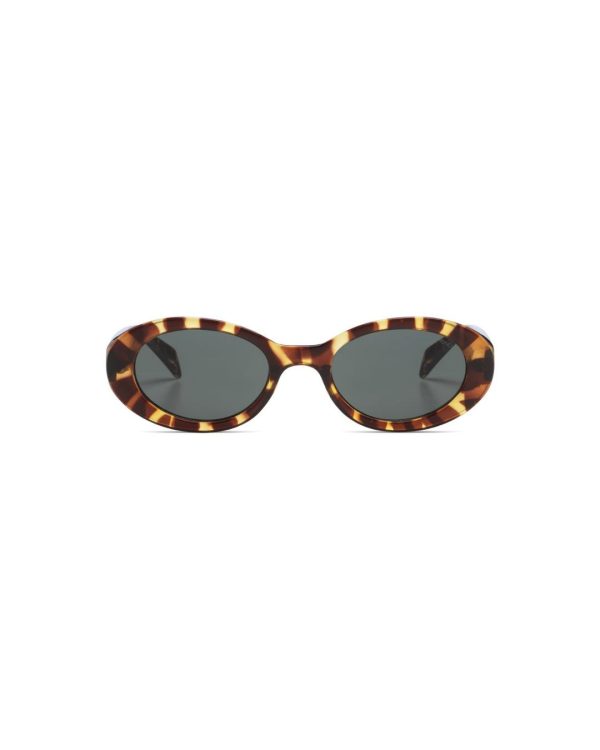 Sunglasses Ana Tortoise