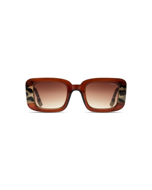 Sunglasses Avery Bronze Bobcat